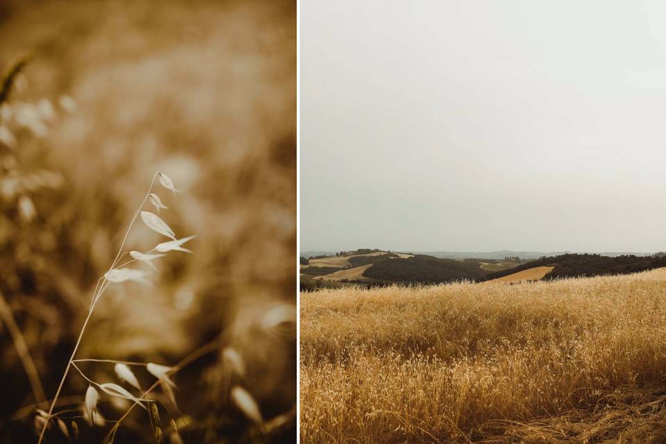 Matrimonio Toscana