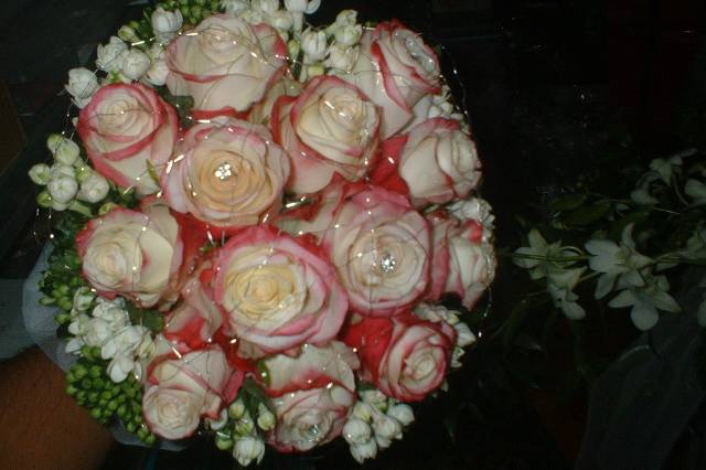 Bouquet rose e bovardia