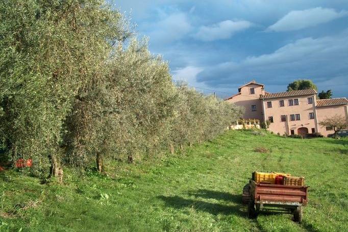 Agriturismo Terra Sabina