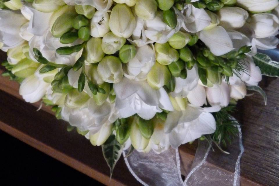 Bouquet fresia