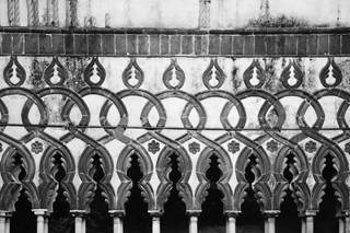 Giuseppe Vitulli Photographer