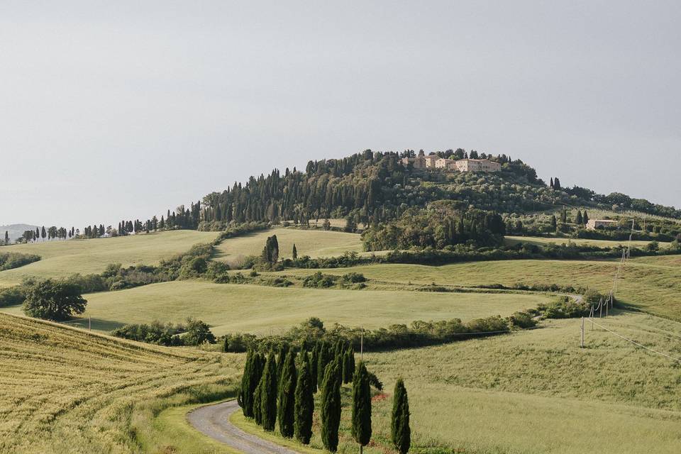 Viale dei cipressi ingresso