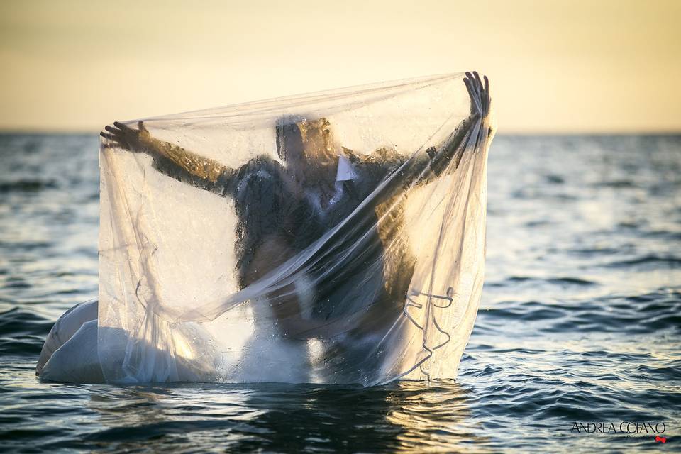 Trash the dress