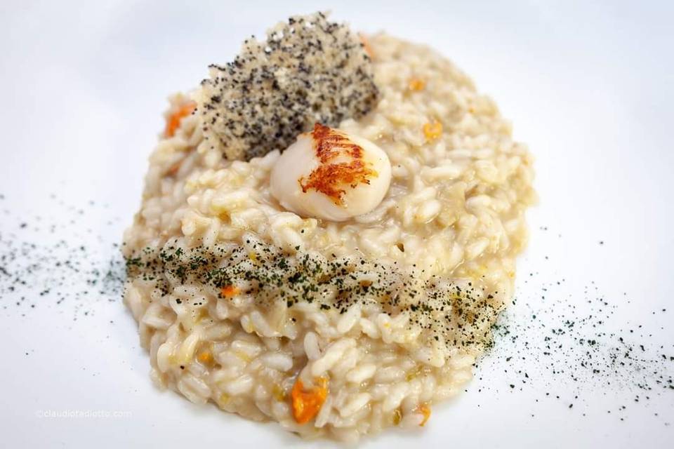 Risotto alla cappasanta