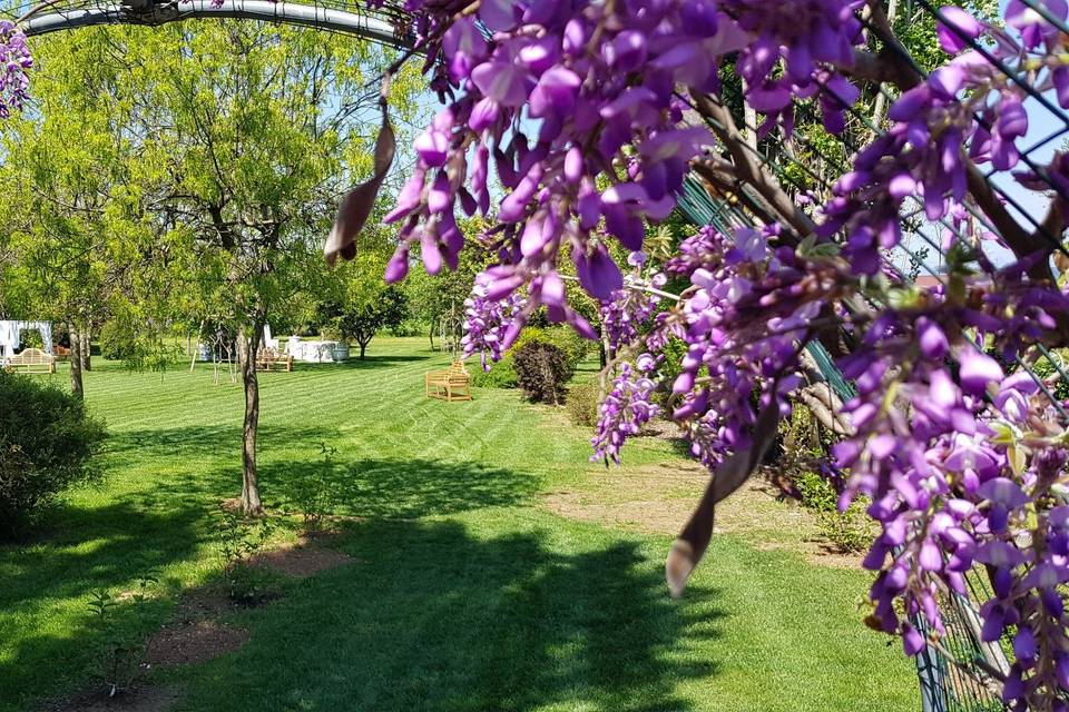 Entrata giardino