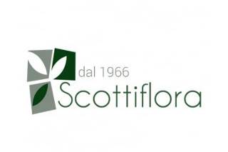 Scotti Flora logo