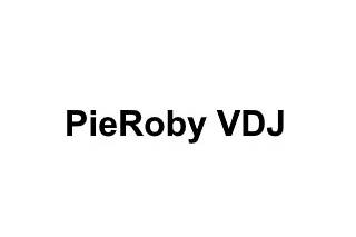 PieRoby VDJ logo