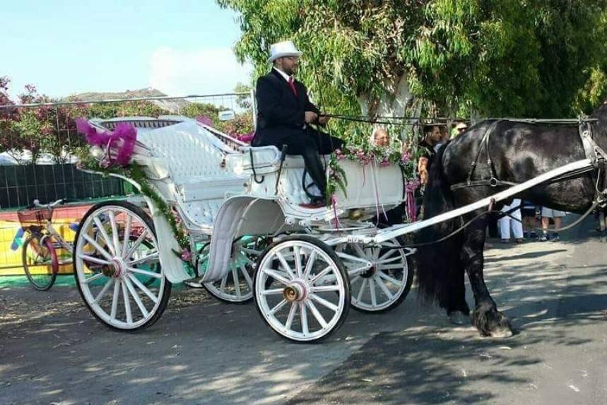 Matrimonio in carrozza vulcano