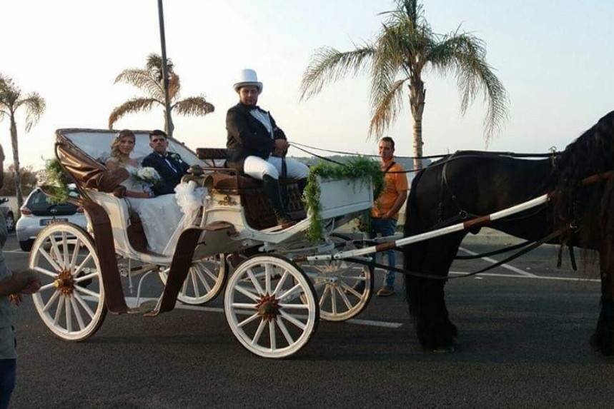 Ciolaro eventi a cavallo