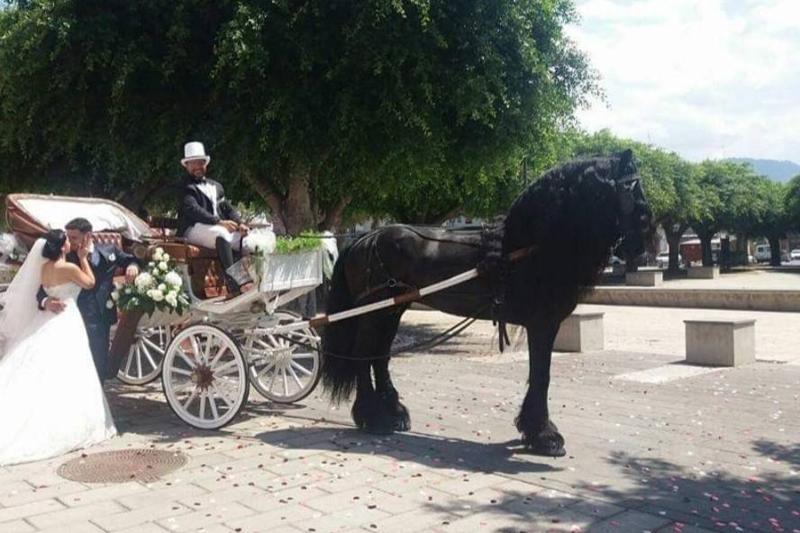 Matrimonio in carrozza