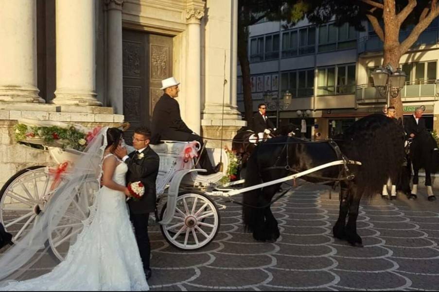 Matrimonio in carrozza