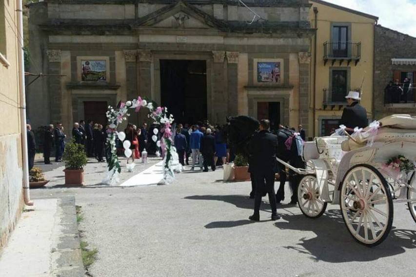 Ciolaro eventi a cavallo