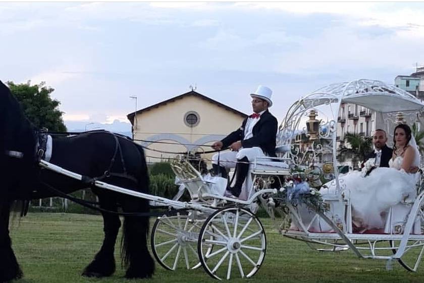 Matrimonio in carrozza di cene