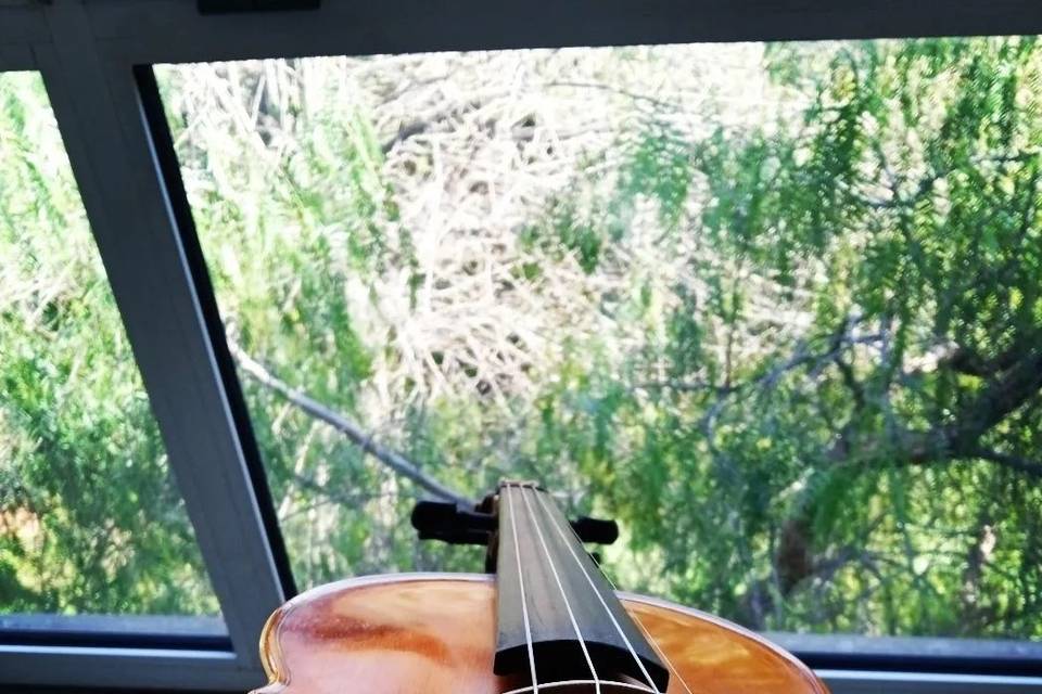 Mia Violin Star