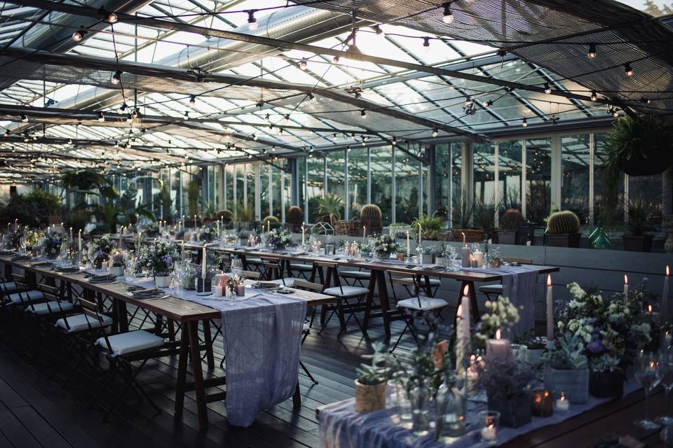 Progetto Green house