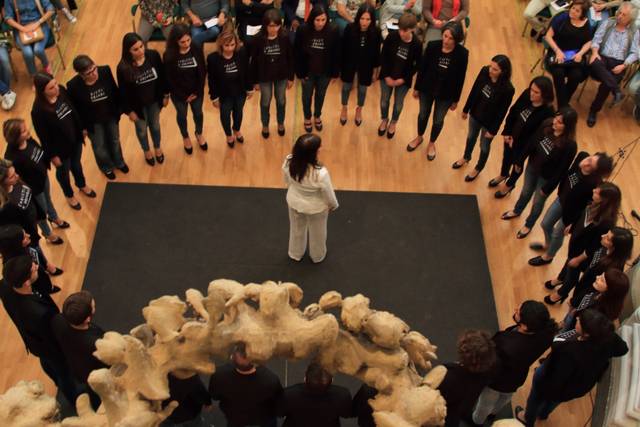 Prove coro
