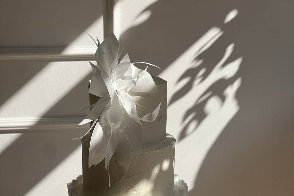 Arte e passione