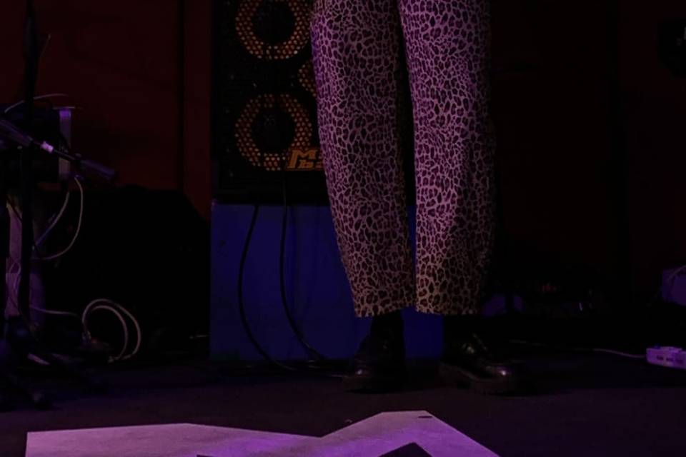 Bassista