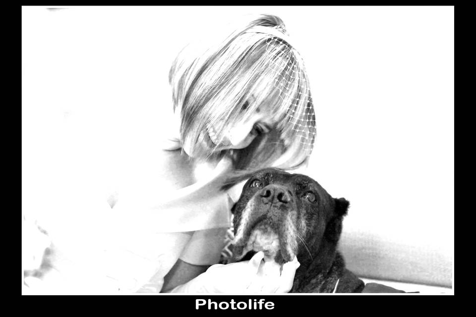 Photolife2