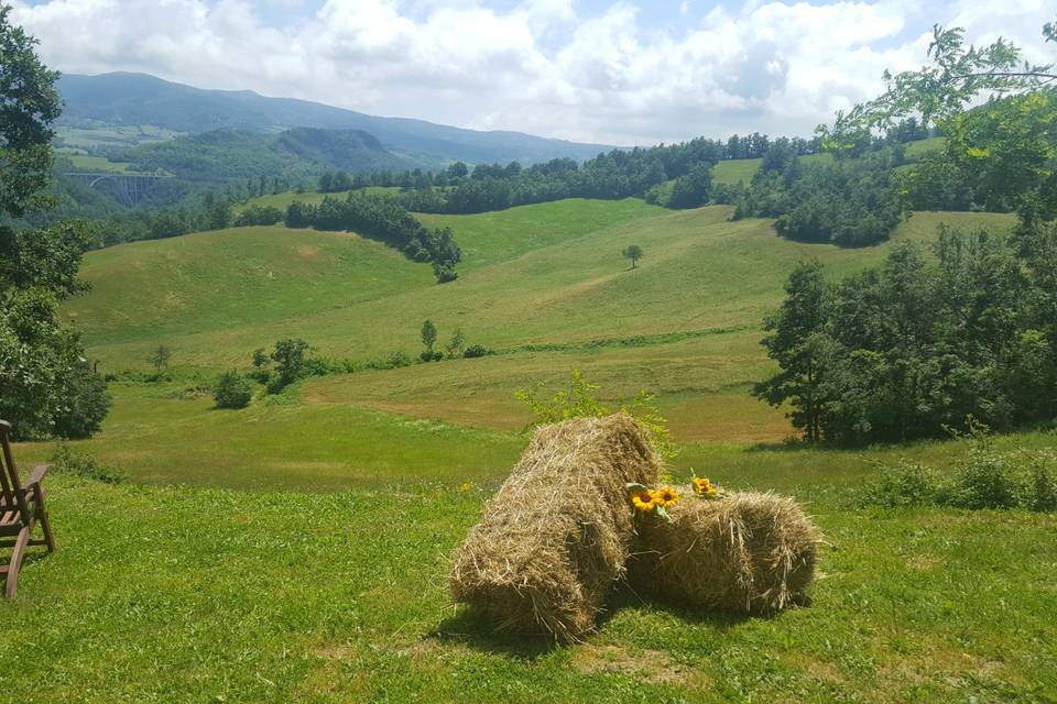 Agriturismo Ca' De' Magnani