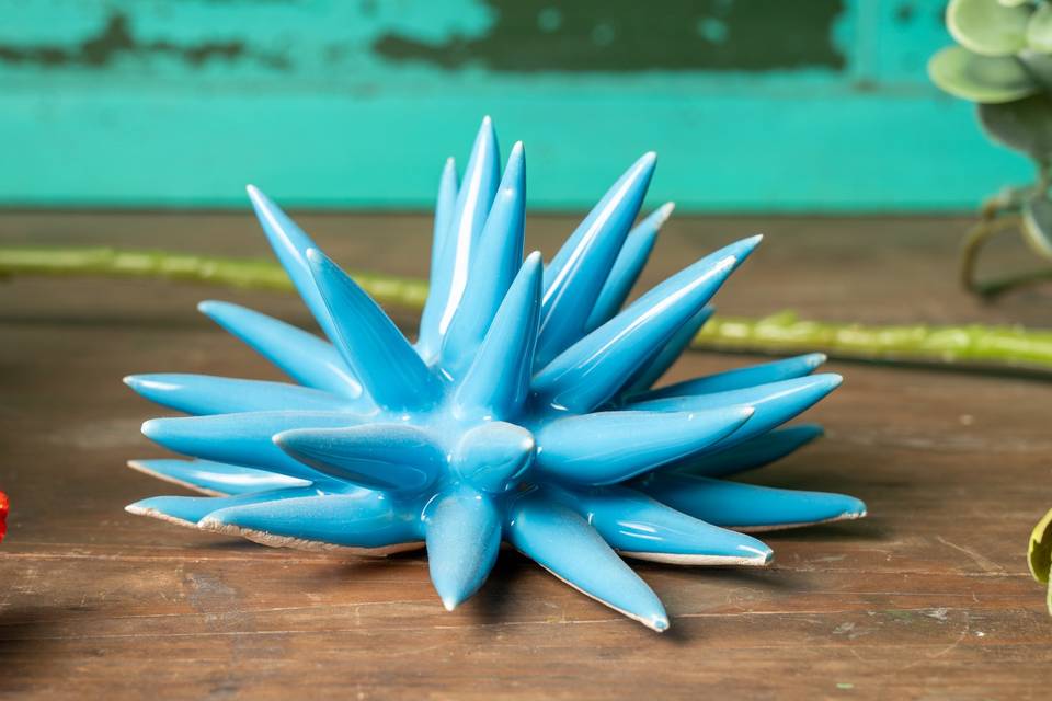 Stella marina blu