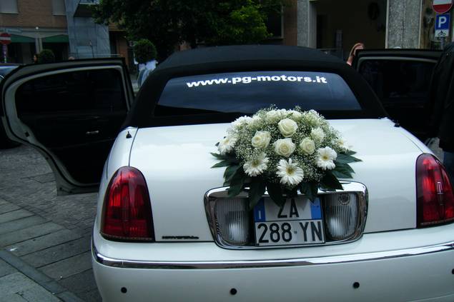 Limousine Club Modena