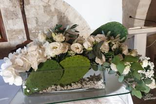 Olimpia Veronico Floral Designer