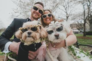 Lovely Paw - Wedding Dog Sitter