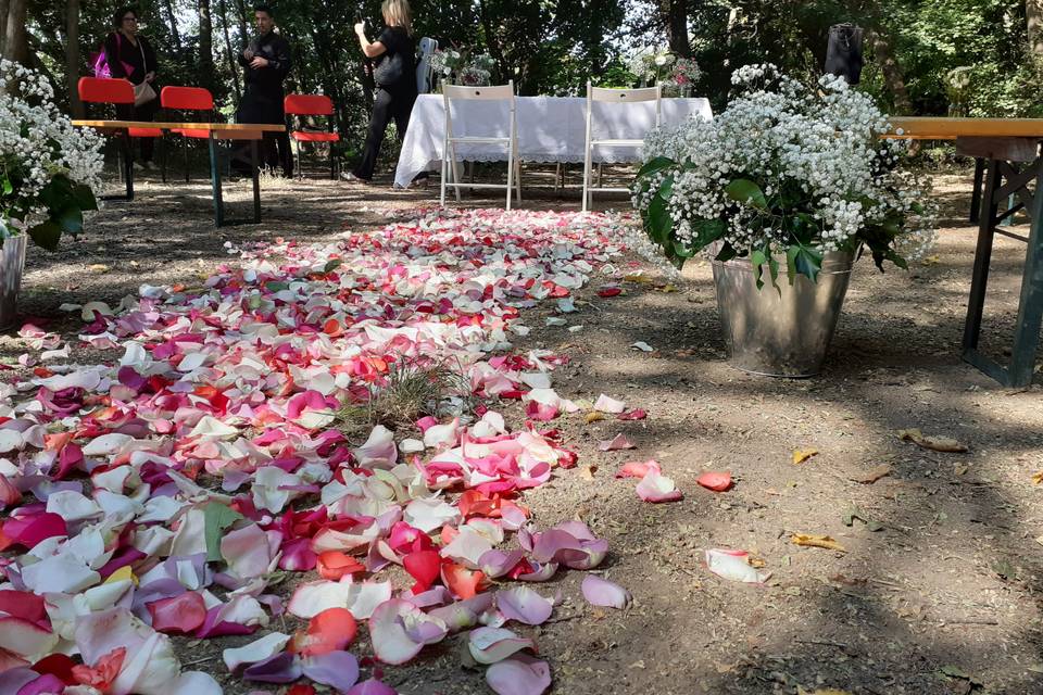 Celebrazione nel bosco