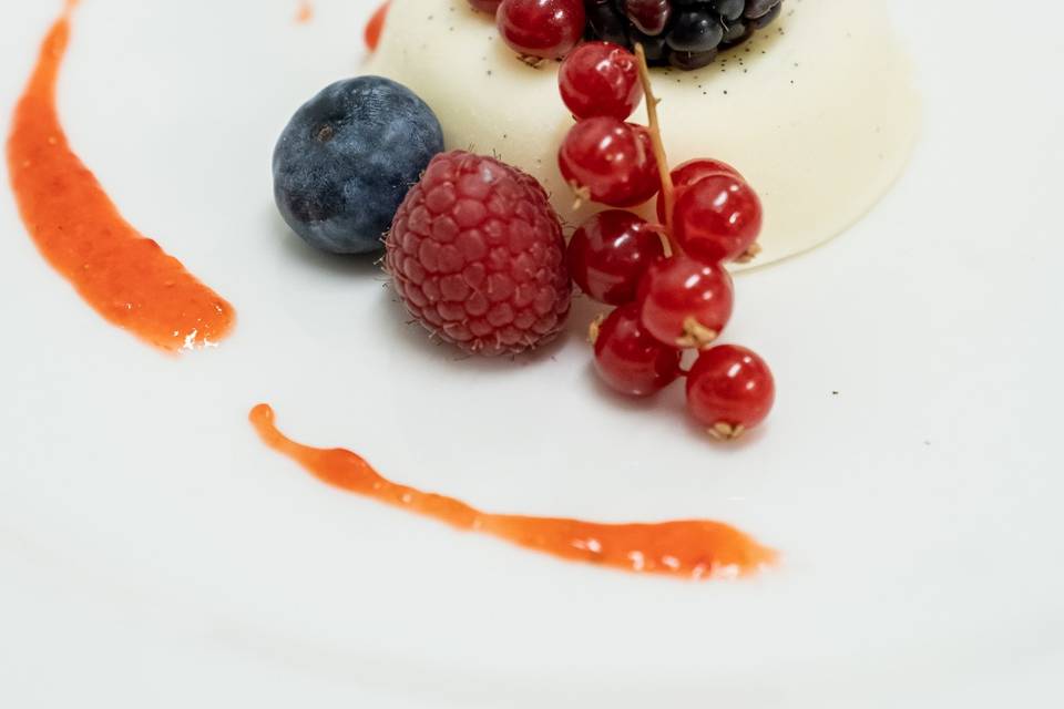 Panna cotta