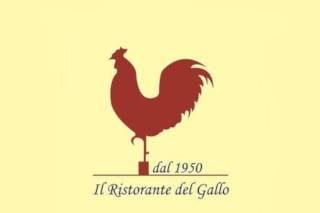 Ristorante del Gallo