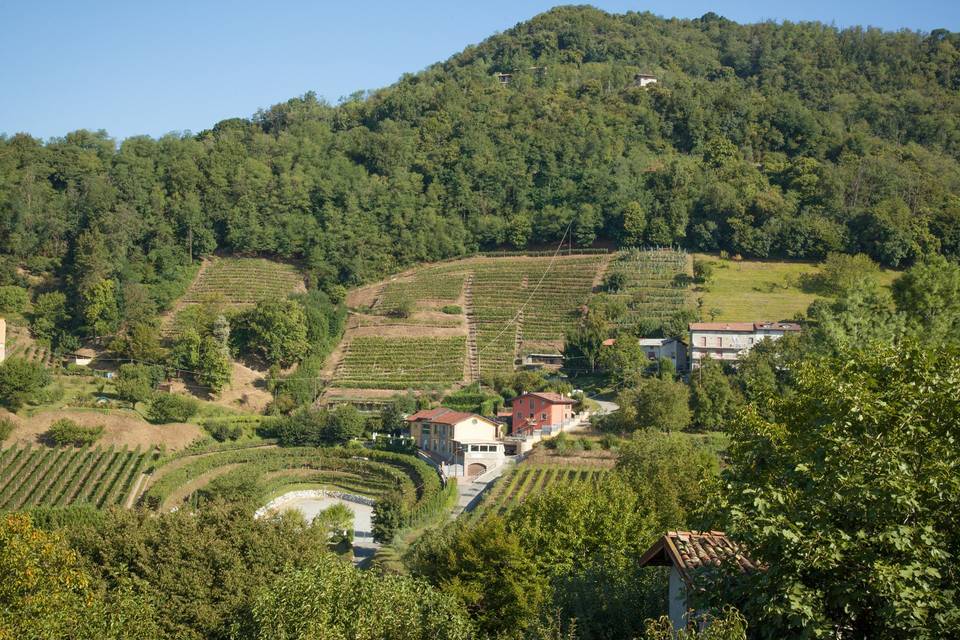 La tenuta immersa nel verde