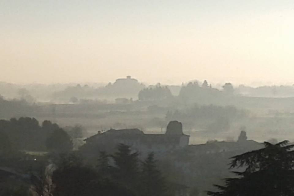 La nebbia agli irti colli