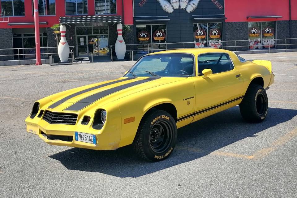 Bumble Bee
