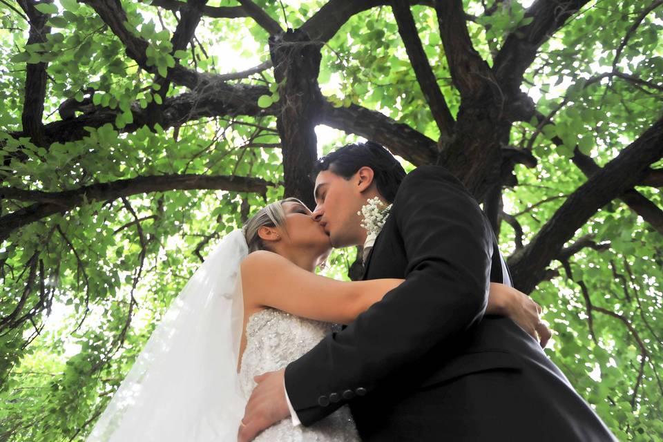 Back light wedding