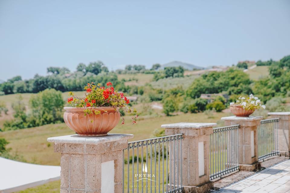 Panorama