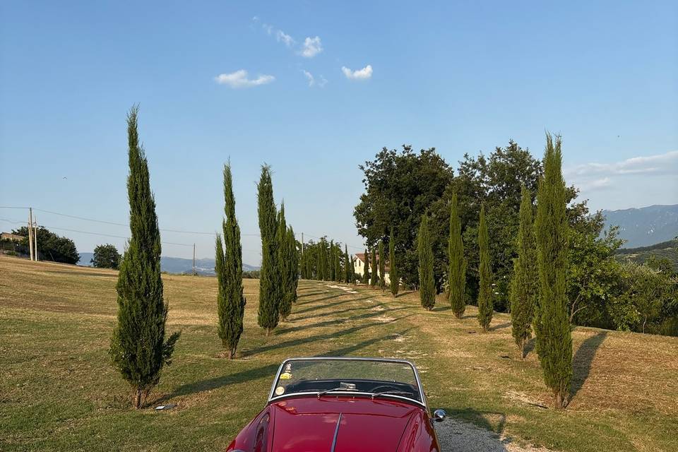 Ingresso con auto d’epoca
