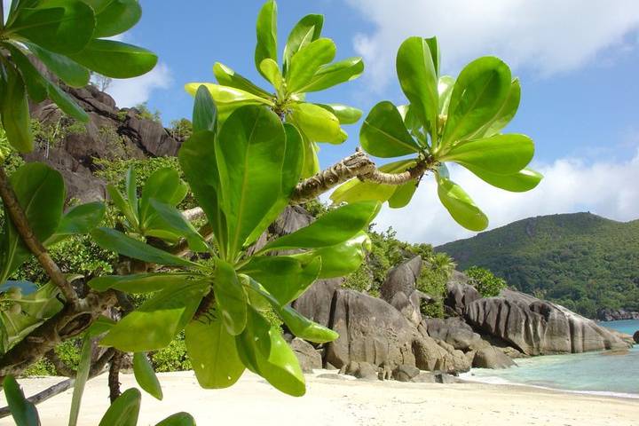 Pennellate di bianco borotalco e cornici di granito alle Seychelles