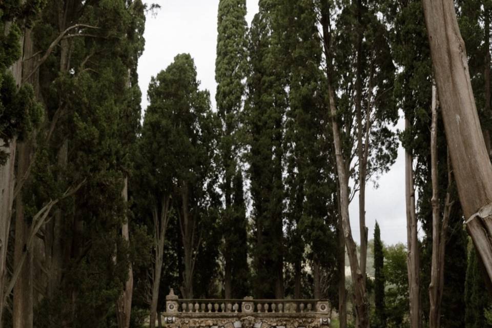 Matrimonio