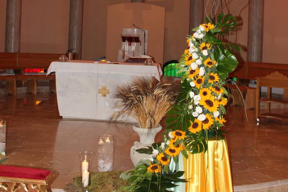 Girasoli