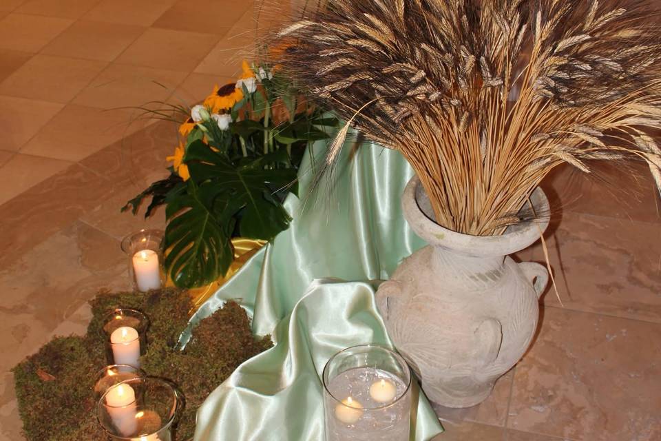 Girasoli
