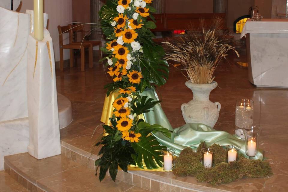 Girasoli