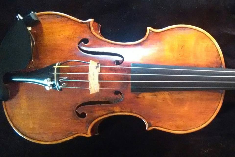 Violino di liuteria