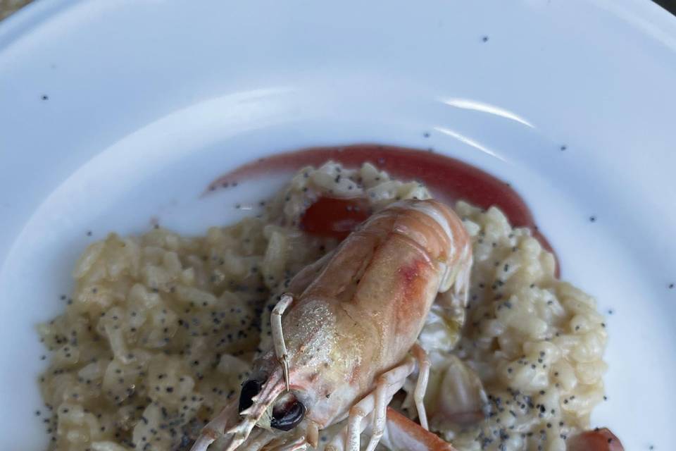 Risottino ai scampi