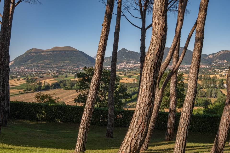 Antica Villa Castelli