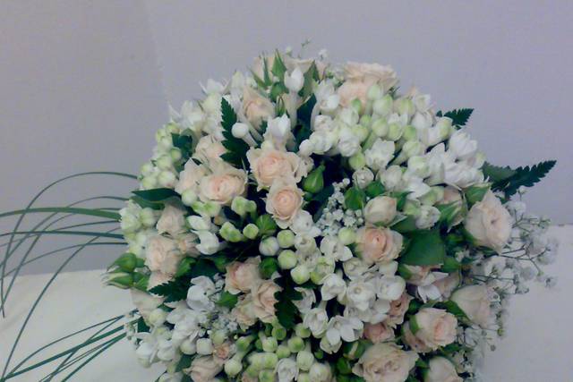 Bouquet boardia