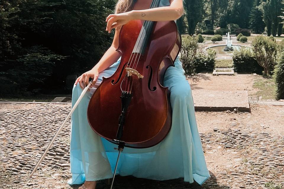 Violoncello