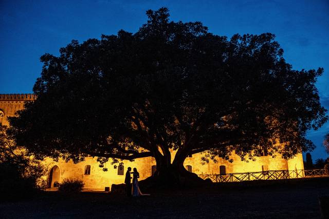 Creative Wedding Reportage