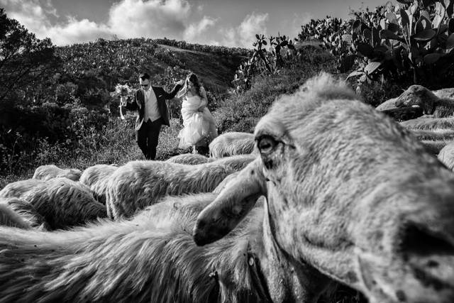 Creative Wedding Reportage