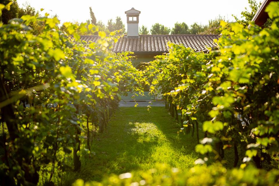 La Casina, Residenza di Campagna